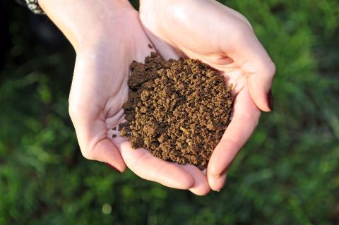 Soil Analysis Soil Analysis